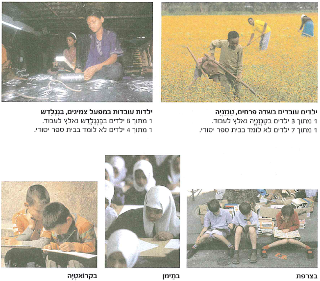 (מתוך יוצאים מהמפה, צביה פיין, ענת בסר ושירה גודמן, הוצאת מטח, 2009, עמ' 98-99)